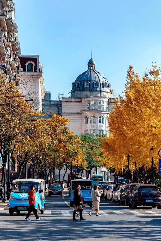 迷你芝麻酥的做法_迷你芝麻酥怎么做_馋嘴乐的菜谱-IM电竞平台(图3) IM电竞官网