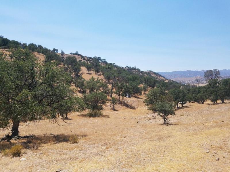 黑芝麻蛋卷的做法_黑芝麻蛋卷怎么做_最初的最美❤的菜谱|IM电竞平台(图1) IM电竞官网