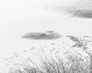 精选美食:土豆丝五彩蛋饼,菠香里脊,红油猪耳的做法:IM电竞(图2) IM电竞平台